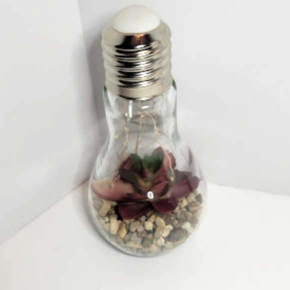 FAUX FOLIAGE TERRARUIM IN BULB WITH LED STRING LIGHTS 7"X3.5" - Picture 3 of 5